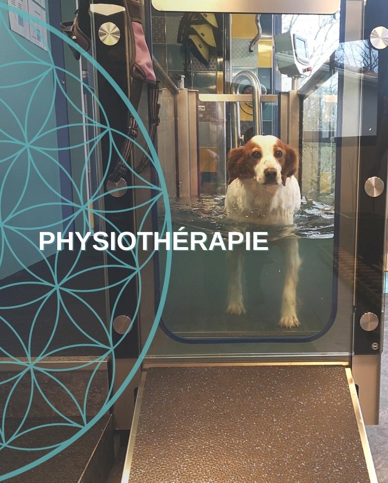 Physiotherapie - Kiniseisvet - Dordogne - Yvonne Schawlb